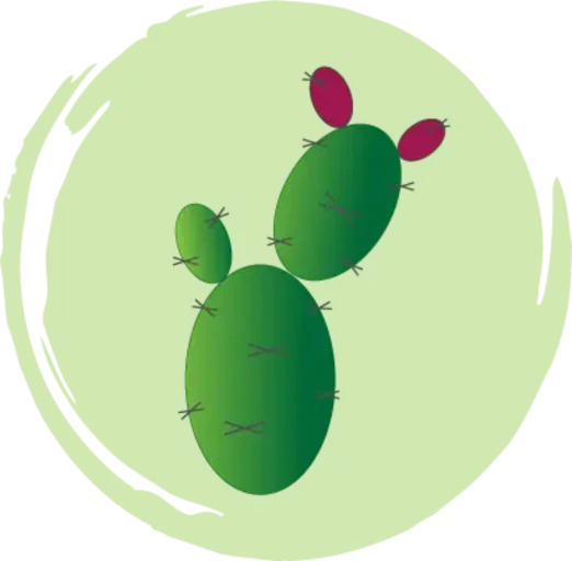 Nopal Software